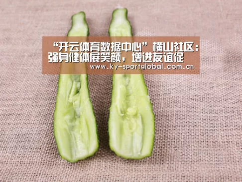 开云体育数据中心