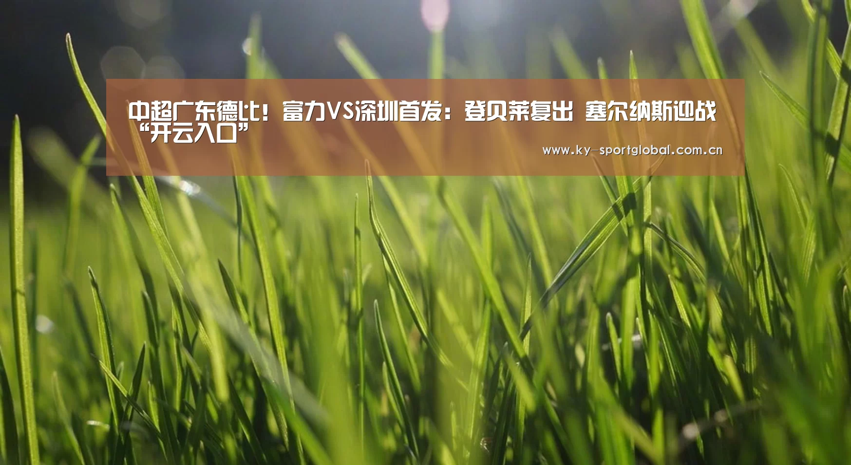 开云入口