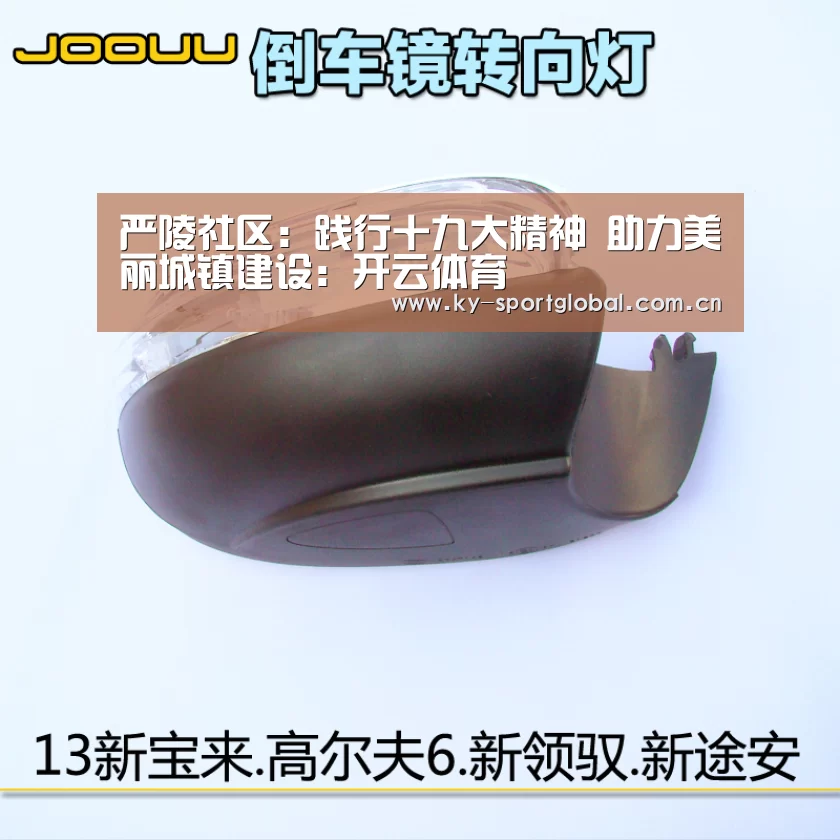 严陵社区：践行十九大精神 助力美丽城镇建设：开云体育